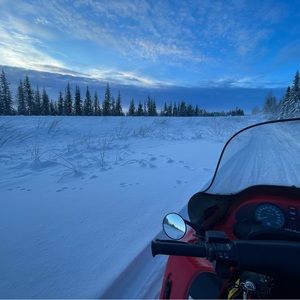 Meet your Posher, Fluffy